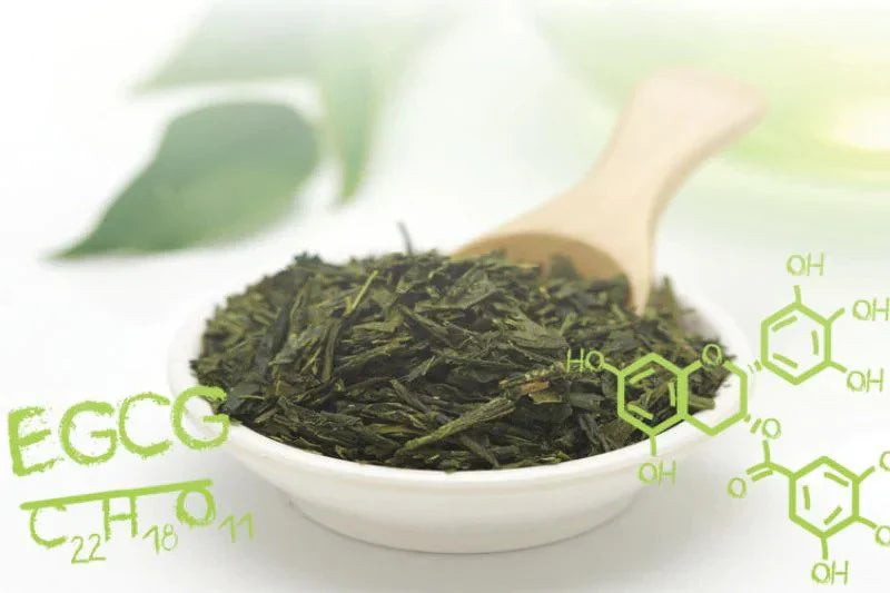 Green Tea Science Part 2: Tannin, and Gallic Acid – 7 Commonly Asked Questions and How You Can Benefit